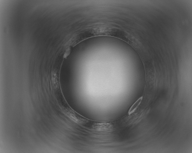 X0000052610087200507011239