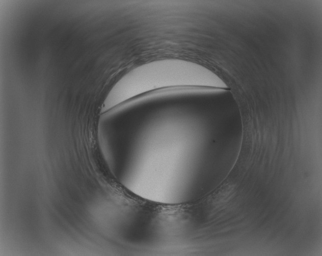 X0000052610088200507011239