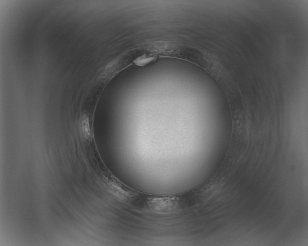 X0000052610089200507011239