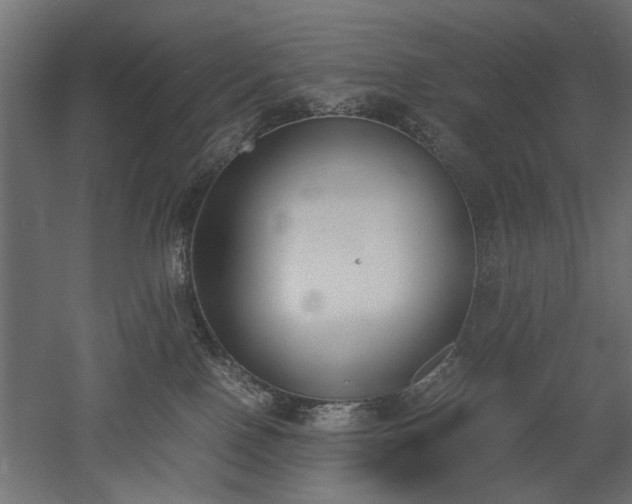 X0000052610090200507011239