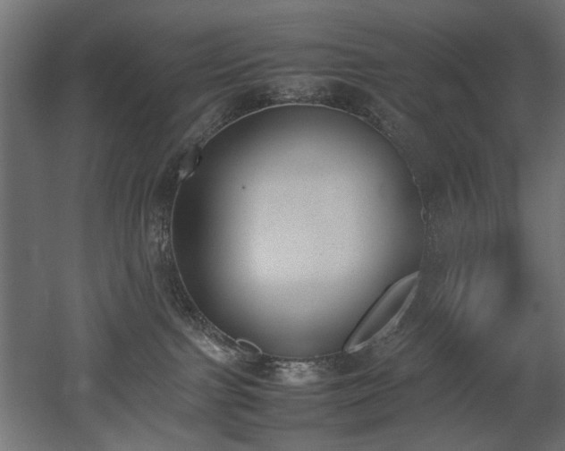 X0000052610091200507011239