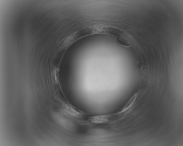 X0000052610094200507011239