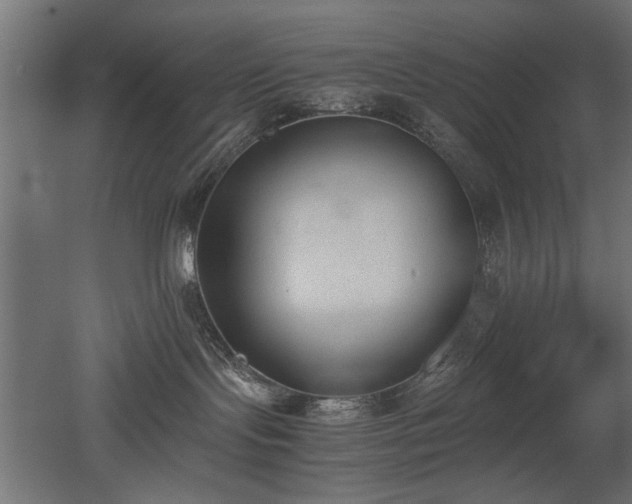 X0000052610095200507011239