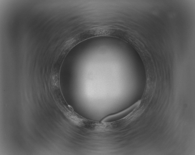 X0000052610096200507011239