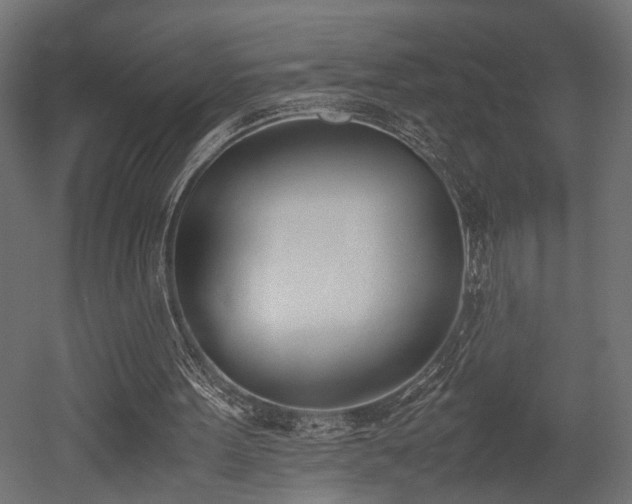 X0000052610099200507011238