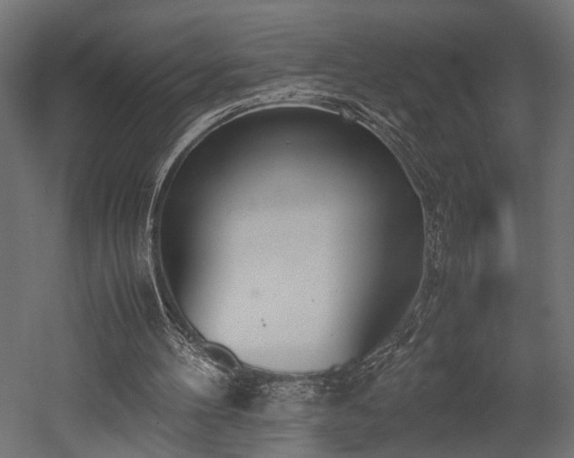 X0000052610100200507011238