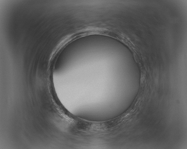 X0000052610101200507011238