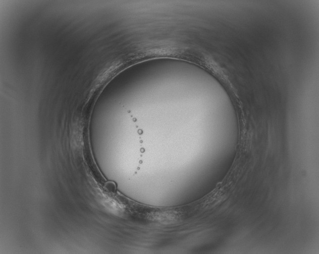 X0000052610106200507011238