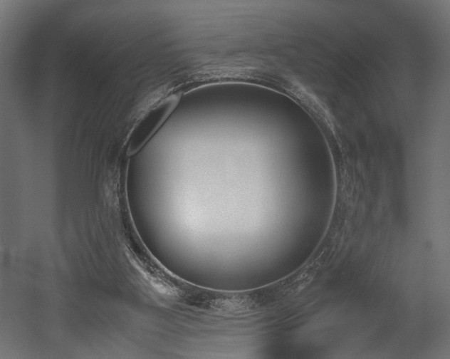 X0000052610107200507011238