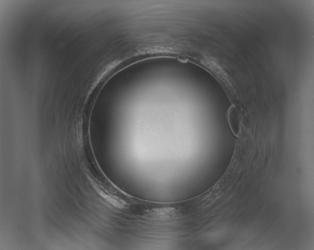 X0000052610108200507011238