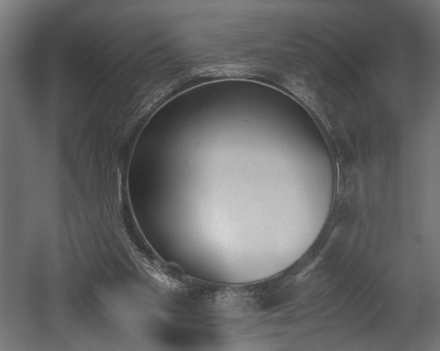 X0000052610109200507011238