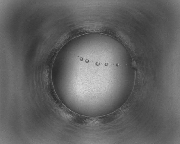 X0000052610113200507011238