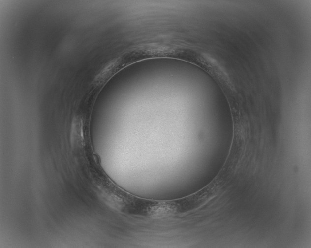 X0000052610115200507011238