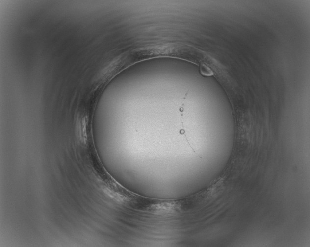 X0000052610118200507011237