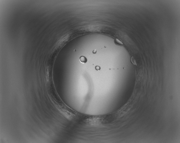 X0000052610120200507011237