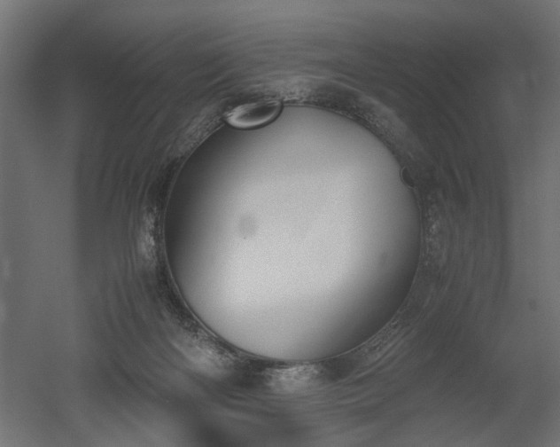 X0000052610122200507011237