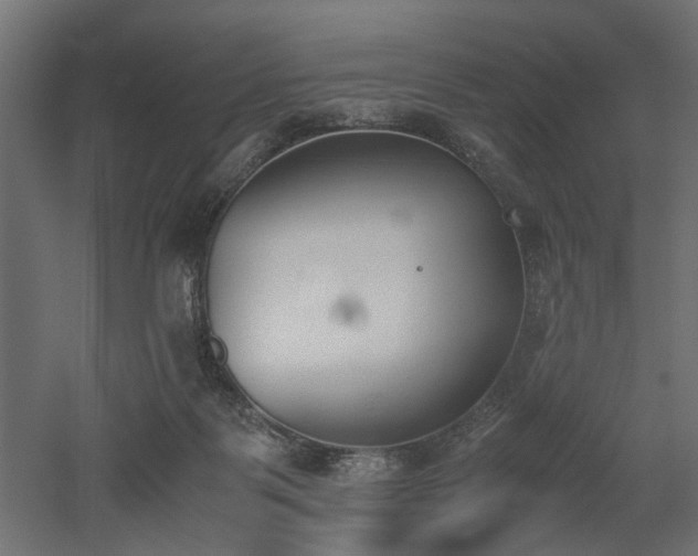 X0000052610123200507011237