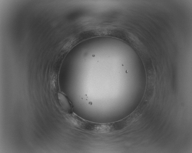 X0000052610125200507011237