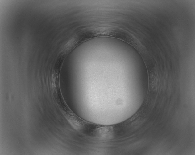 X0000052610126200507011237