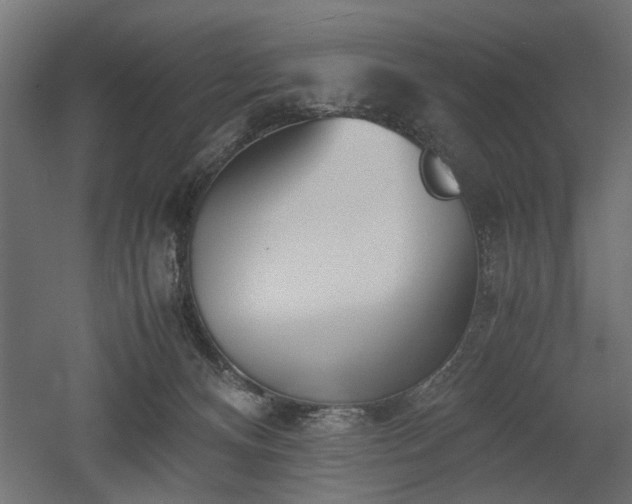 X0000052610128200507011237