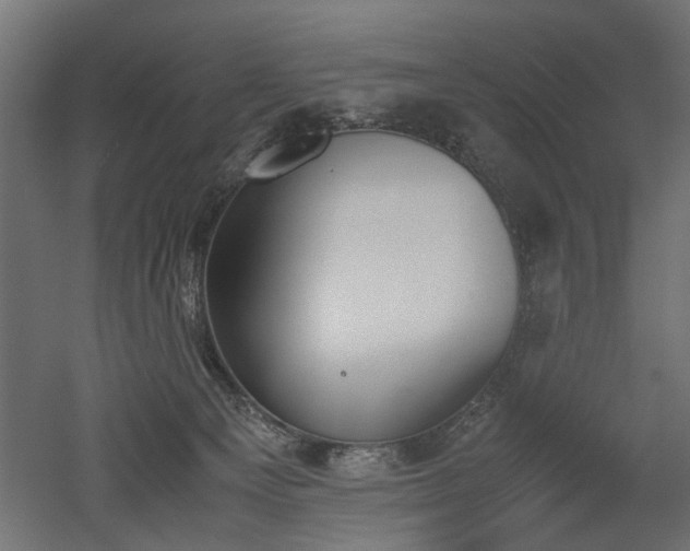 X0000052610129200507011237