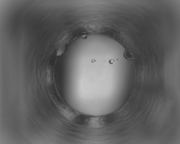 X0000052610130200507011237