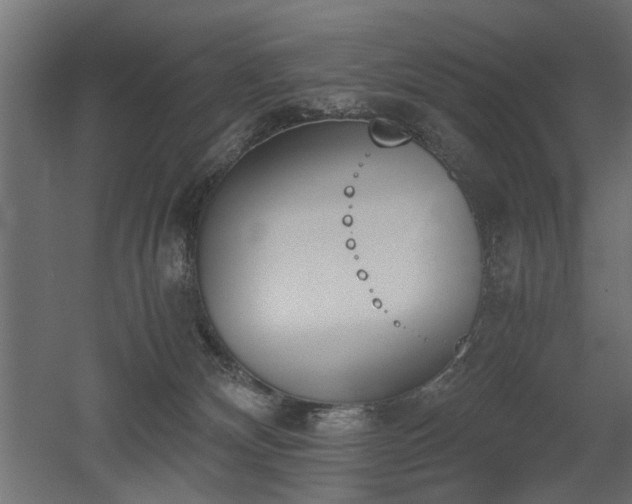 X0000052610132200507011237