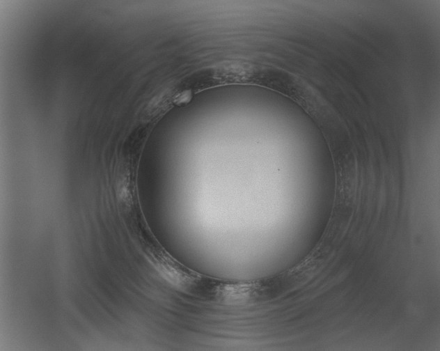 X0000052610134200507011237