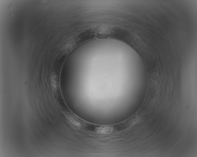 X0000052610135200507011237