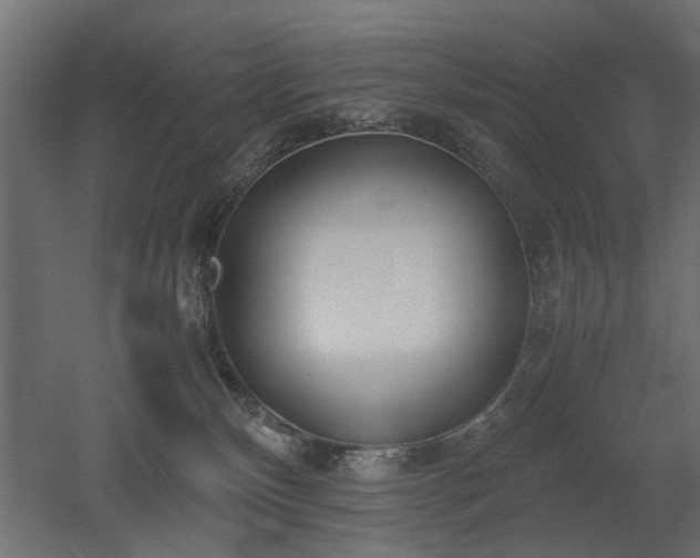 X0000052610136200507011237