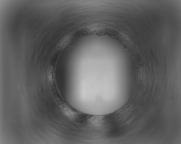 X0000052610138200507011237