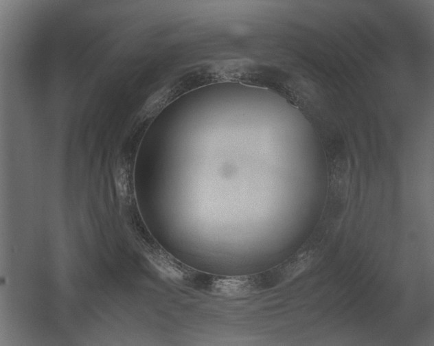 X0000052610139200507011237