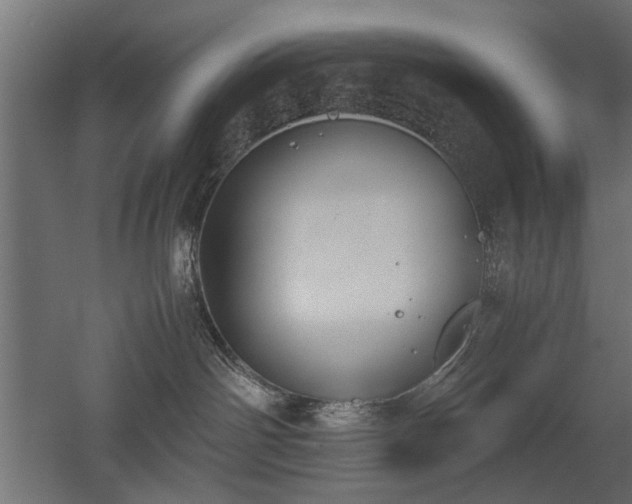 X0000052610142200507011237