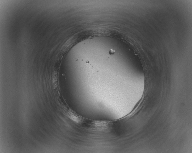 X0000052610144200507011237