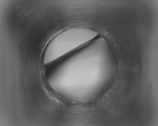 X0000052610146200507011236