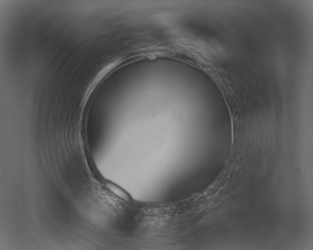 X0000052610147200507011236