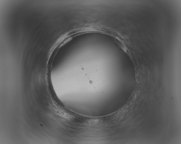 X0000052610152200507011236