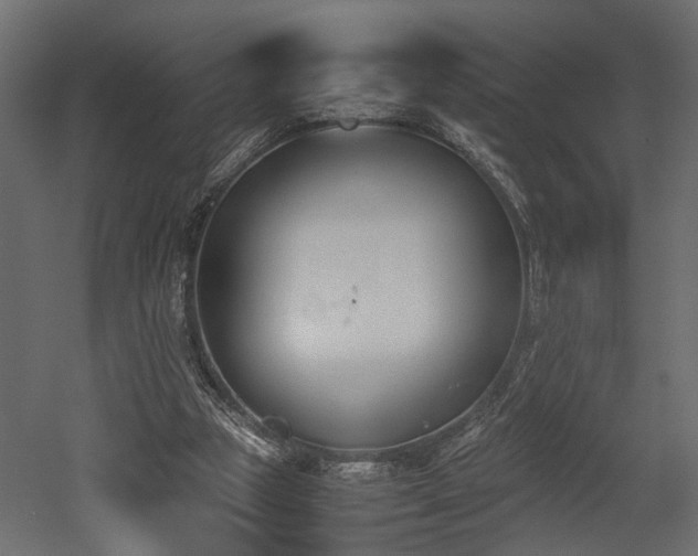 X0000052610153200507011236