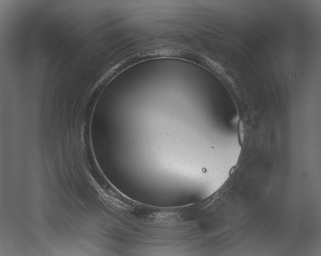 X0000052610154200507011236