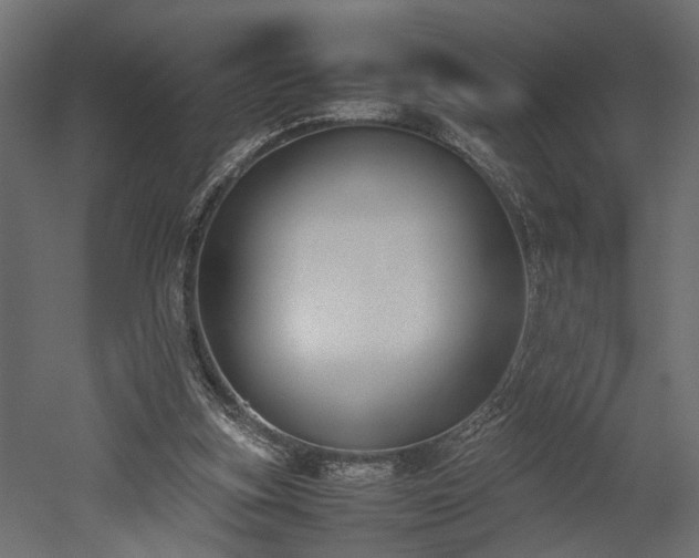 X0000052610155200507011236