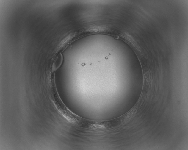 X0000052610159200507011236