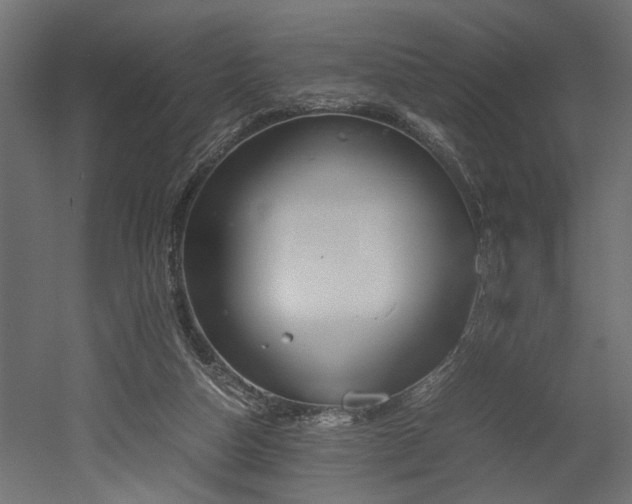 X0000052610162200507011237