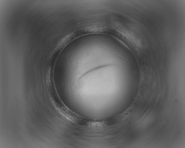 X0000052610163200507011237