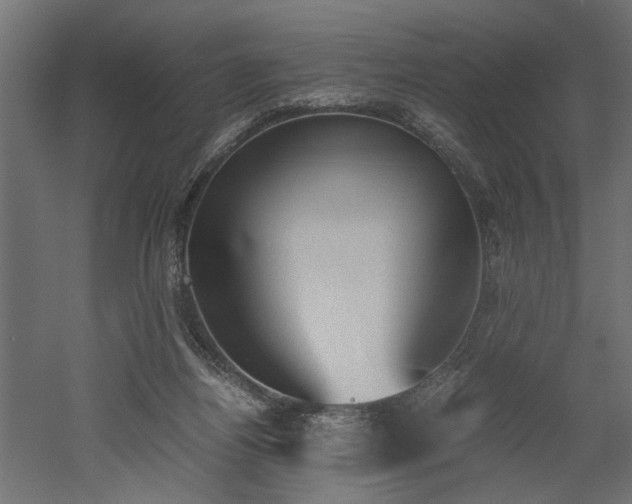 X0000052610164200507011237