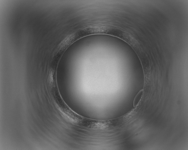 X0000052610166200507011237