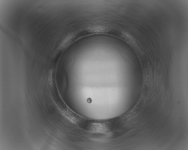 X0000052610167200507011237