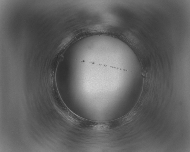 X0000052610168200507011237