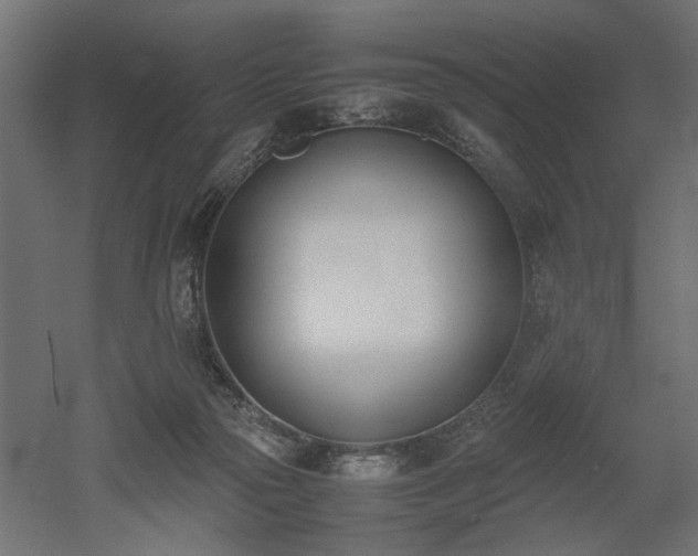 X0000052610169200507011237