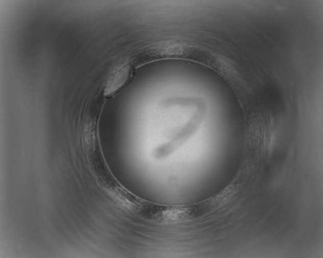 X0000052610172200507011237