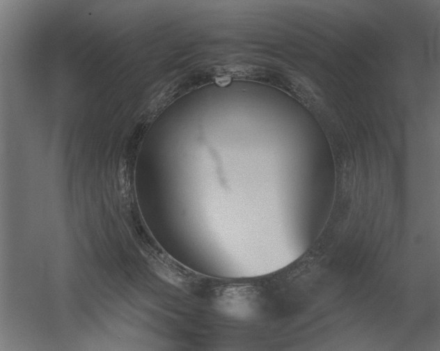 X0000052610173200507011237